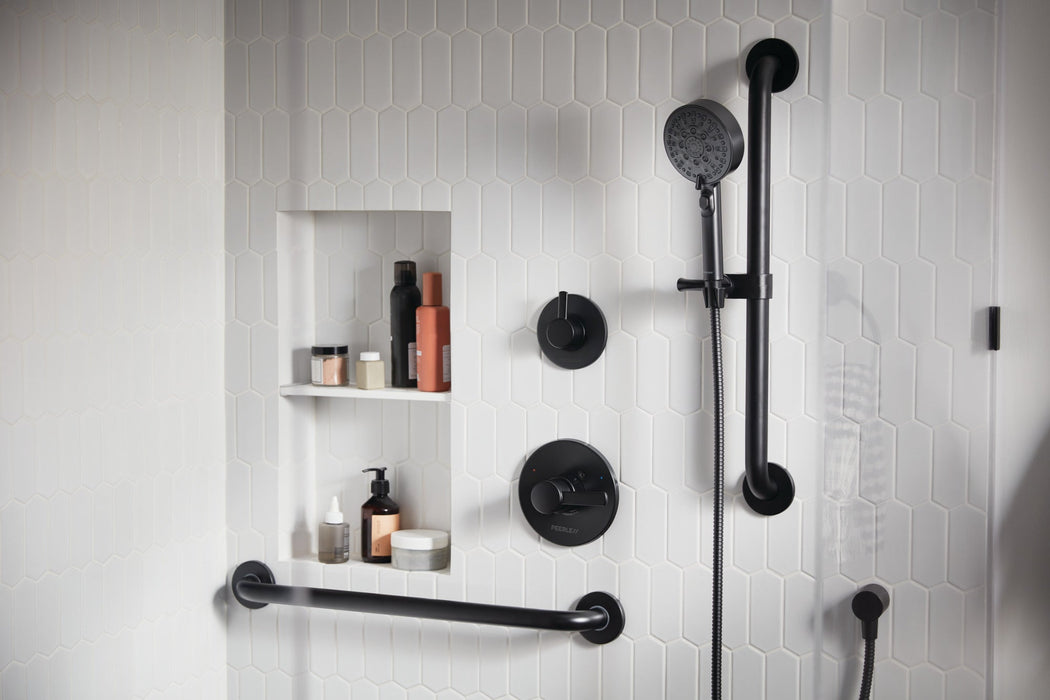 Peerless Precept PTT24047 ADA hand shower