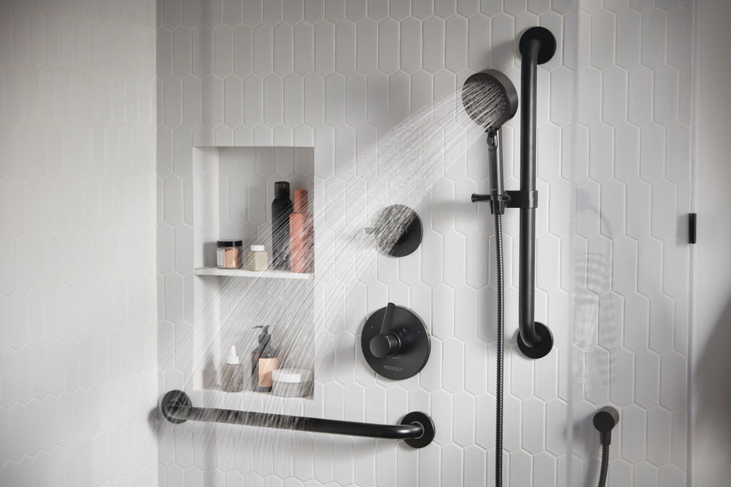 Peerless Precept PTT24047 ADA hand shower