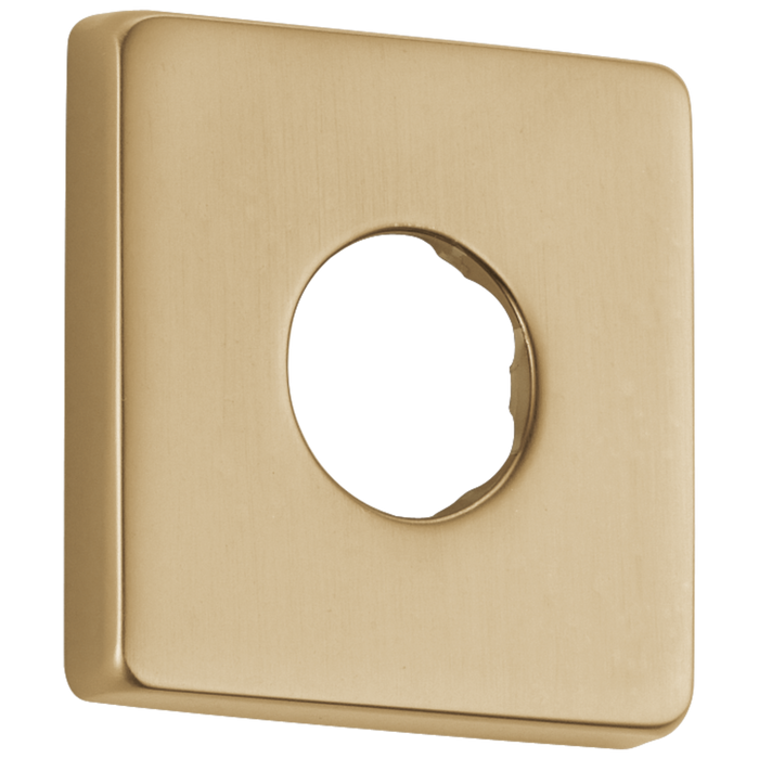 Delta RP51034PN Flange - Shower