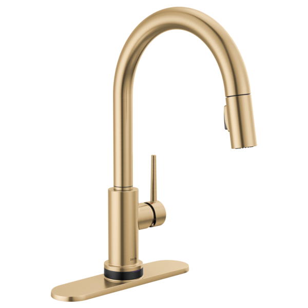Delta Trinsic RP64070PN Escutcheon & Gasket - 8"