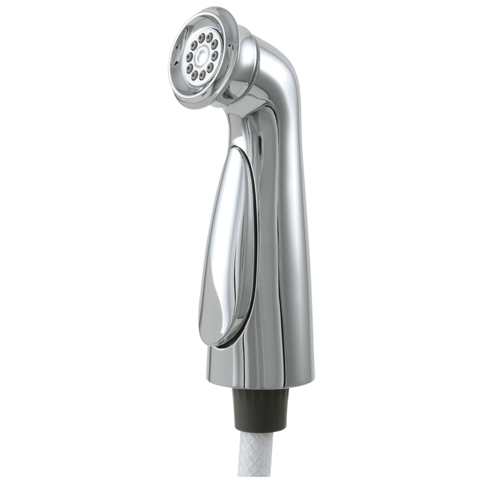 Delta Cassidy RP72751CZ Side Spray & Hose Assembly