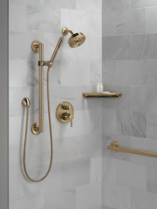 Delta Trinsic RP73384BL Single-Setting Hand Shower