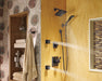 Delta Dryden T17251 Monitor 17 Series Shower Trim, venetian bronze - view 3