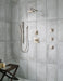 Delta Ara T17T267 TempAssure 17T Series H2OKINETIC Shower Trim, stainless - view 3
