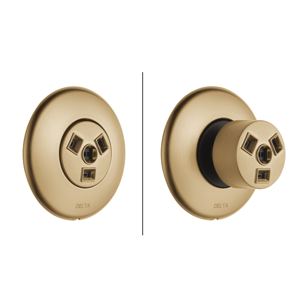 Delta T50010 HydraChoice Round Body Spray Trim