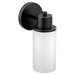 Moen DN0761 Matte black one globe bath light