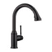 hansgrohe Talis C HighArc Kitchen Faucet, 2-Spray Pull-Down, 1.75 GPM, matte black