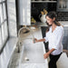 hansgrohe Locarno Semi-Pro Kitchen Faucet, 2-Spray, 1.75 GPM, stainless steel optic - view 4