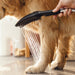hansgrohe Dog Shower Dog Shower + Quick Connect, 3-Spray, 1.75 GPM,, black - view 4