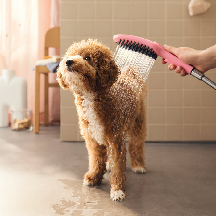 hansgrohe Dog Shower Dog Shower + Quick Connect, 3-Spray, 1.75 GPM,, pink - view 2