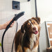 hansgrohe Dog Shower Dog Shower Bundle, 3-Spray, 1.75 GPM, black - view 2