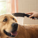 hansgrohe Dog Shower Dog Shower Bundle, 3-Spray, 1.75 GPM, black - view 4