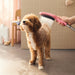 hansgrohe Dog Shower Dog Shower Bundle, 3-Spray, 1.75 GPM, pink - view 2