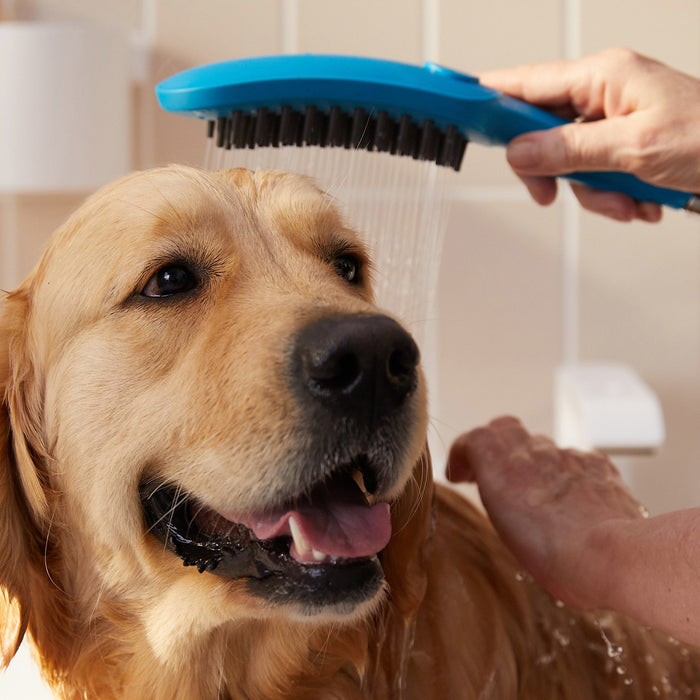 hansgrohe Dog Shower Dog Shower Bundle, 3-Spray, 1.75 GPM, sky - view 2