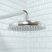 hansgrohe Raindance Classic Showerhead 180 1-Jet, 2.5 GPM, chrome - view 2
