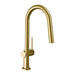 hansgrohe Talis N HighArc Kitchen Faucet, A-Style 2-Spray Pull-Down, 1.75 GPM, brushed gold optic