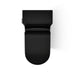 KOHLER K-22378 Brazn One-piece compact elongated toilet with skirted trapway, dual-flush, honed black - view 4