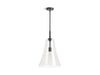 KOHLER K-26851-PE01 Simplice 14" pendant, matte black