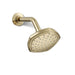 KOHLER K-27050 Occasion Single-function Showerhead, 2.5 GPM, vibrant french gold