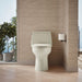 KOHLER K-30811 Santa Rosa™ One-piece Compact Elongated 1.6 GPF Toilet with Revolution 360 Swirl Flushing Technology,...