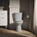 KOHLER K-31589 Cimarron Round-front toilet bowl, ice grey - view 5