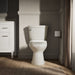 KOHLER K-31615 Cimarron Toilet Tank, 1.28 GPF, biscuit - view 4