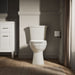 KOHLER K-32808 Kelston Toilet tank, 1.28 gpf, biscuit - view 5