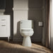 KOHLER K-3619 Cimarron One-piece elongated toilet with concealed trapway, 1.28 gpf, dune - view 4