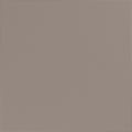Matte Taupe