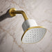 KOHLER K-37722-Y Cinq Square Single-function Filtered Showerhead, 2.5 GPM, Vibrant Brushed Moderne Brass - Shows close up det