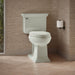 KOHLER K-3817 Memoirs Stately Two-piece Elongated Toilet, 1.28 GPF, Dune - image focused on single product story