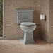 KOHLER K-3933 Memoirs Stately Two-piece Round-front Toilet, 1.28 GPF, Ice Grey - image focused on single product story