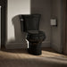 KOHLER K-3947-T Wellworth Two-piece Round-front Toilet, 1.28 GPF, Black Black - image focused on single product story