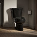 KOHLER K-3948-T Wellworth Two-piece Elongated Toilet, 1.28 GPF, Black Black - image focused on single product story