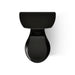 KOHLER K-3977 Wellworth Two-piece round-front 1.6 gpf toilet, black black - view 5