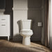 KOHLER K-3987-RA Wellworth Two-piece round-front dual-flush toilet with right-hand trip lever, biscuit - view 4