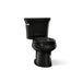 KOHLER K-3997-T Wellworth Two-piece round-front 1.28 gpf toilet with tank cover locks, black black