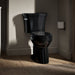 KOHLER K-43979 Highline Two-piece Elongated Toilet, 1.6 GPF, Black Black - image focused on single product story
