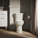 KOHLER K-44199 Highline Elongated toilet bowl, biscuit - view 5