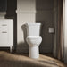 KOHLER K-44199 Highline Elongated toilet bowl, white - view 5