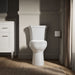 KOHLER K-44467-RA Highline Toilet tank, 1.28 gpf, white - view 4
