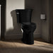 KOHLER K-44468 Highline Toilet Tank, 1.6 GPF, Black Black - image focused on single product story