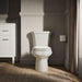 KOHLER K-4468 Wellworth Toilet Tank, 1.6 GPF, biscuit - view 2