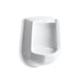 KOHLER K-4989 Freshman™ Siphon-jet Half-stall 1.0 GPF Urinal, Rear Spud, white