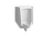 KOHLER K-4991-ERSS Bardon High-Efficiency Urinal (HEU), washout, wall-hung, 0.125 gpf to 1.0 gpf, rear spud,...