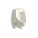 KOHLER K-5016 Dexter™ Siphon-jet Half-stall 0.5–1.0 GPF Urinal, Rear Spud, biscuit