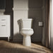 KOHLER K-5297 Highline Elongated toilet bowl, biscuit - view 4