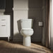 KOHLER K-5309 Cimarron Elongated toilet bowl with skirted trapway, dune - view 4