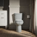 KOHLER K-5309 Cimarron Elongated toilet bowl with skirted trapway, ice grey - view 4