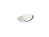 KOHLER K-5403-P5 Iron Plains 20-3/4" oval vessel bathroom sink, biscuit